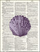 An image of a(n) Purple Seashell Dictionary Art Print.
