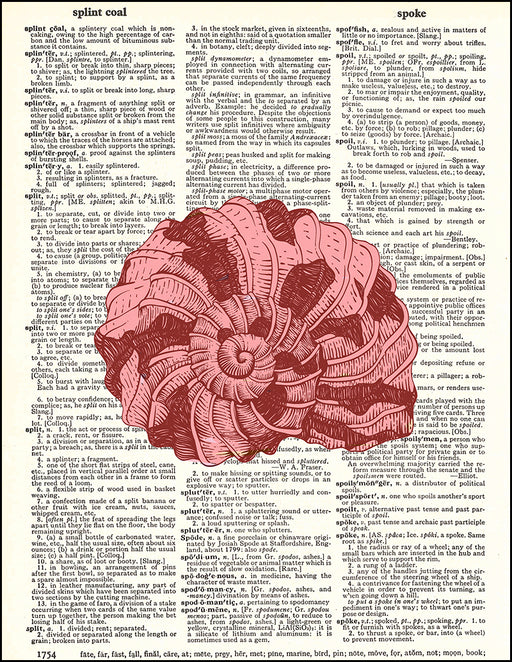 An image of a(n) Red Seashell Dictionary Art Print.