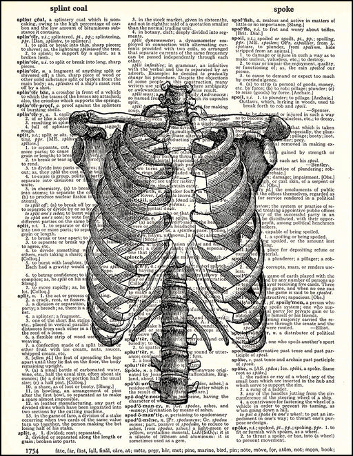 An image of a(n) Human Rib Cage Dictionary Art Print.
