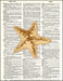 An image of a(n) Starfish Dictionary Art Print.