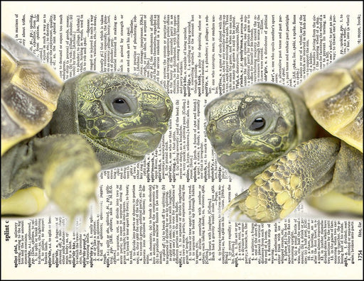An image of a(n) Turtle Love Dictionary Art Print.