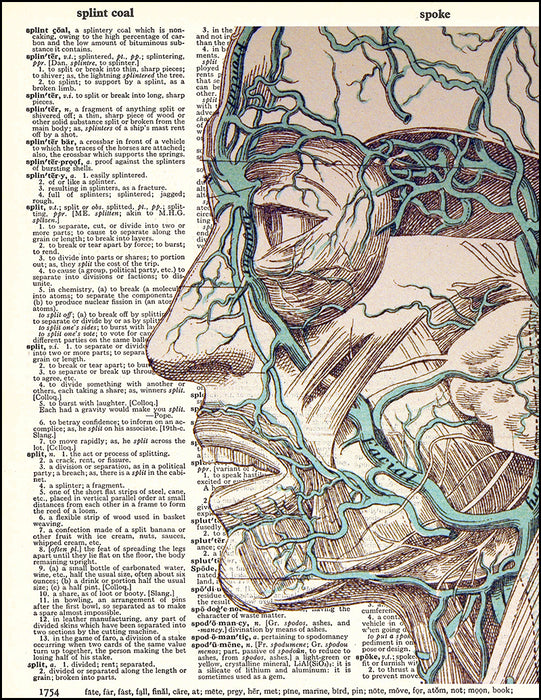 An image of a(n) Human Face and Veins Dictionary Art Print.