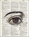 An image of a(n) Human Eye Dictionary Art Print.