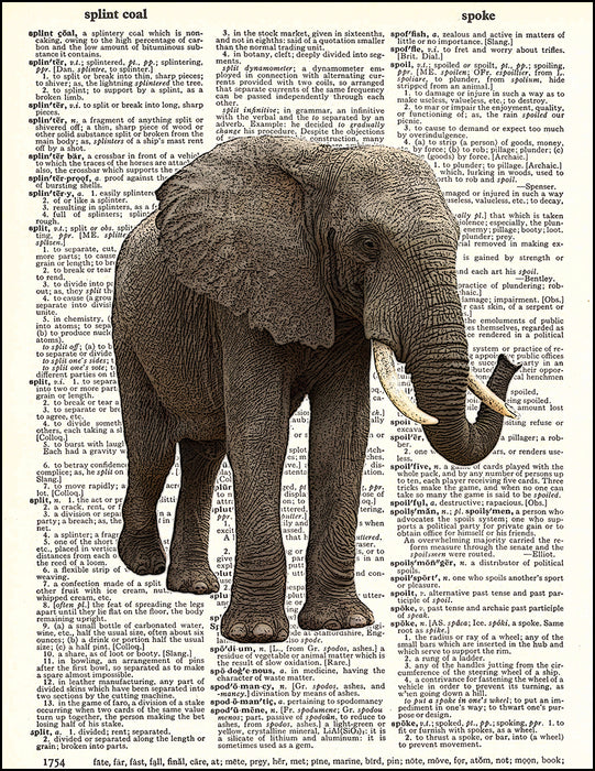 Elephant leather -  - The Leather Dictionary