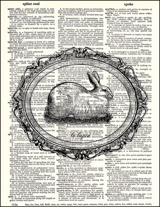 An image of a(n) Bunny Rabbit Le Lapin Dictionary Art Print.