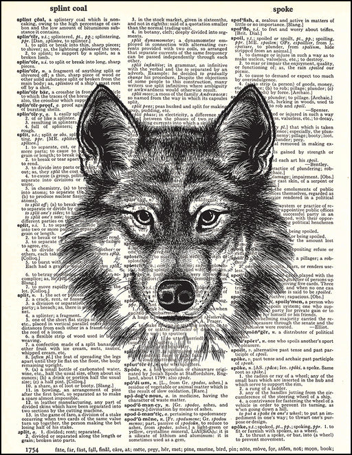 wolf pictures you can print