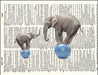 An image of a(n) Elephants on Balls Dictionary Art Print.