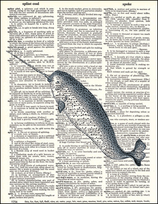 An image of a(n) Narwhal Dictionary Art Print.