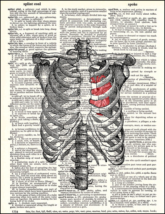 An image of a(n) Ribs and Heart Dictionary Art Print.