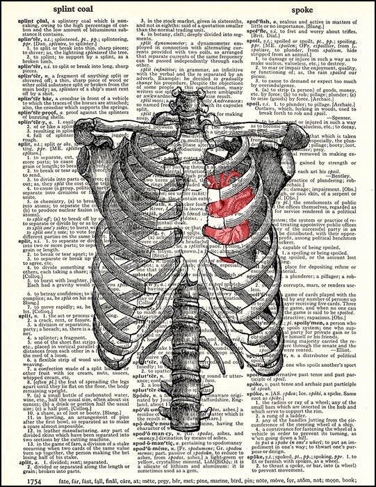 Human Ribs And Heart