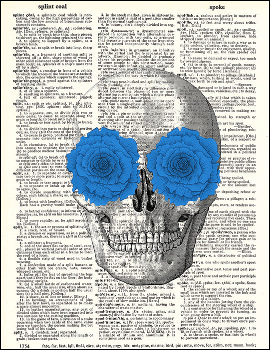 An image of a(n) Skull with Blue Flowers Dictionary Art Print.