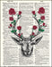 An image of a(n) Stag with Roses Dictionary Art Print.