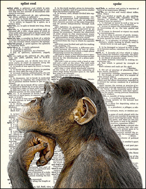 An image of a(n) Chimp Thinking Dictionary Art Print.