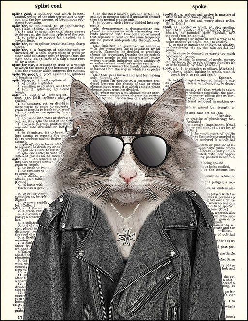 An image of a(n) Biker Kitty Dictionary Art Print.