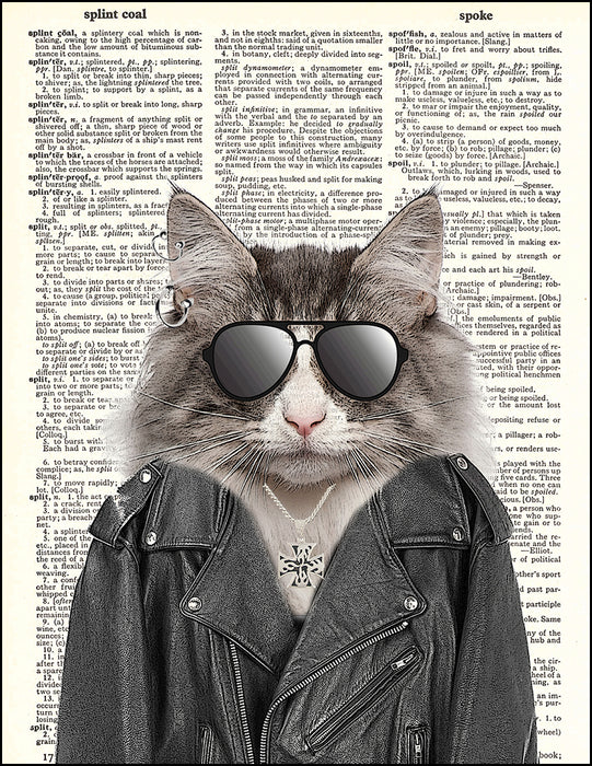 An image of a(n) Biker Kitty Dictionary Art Print.