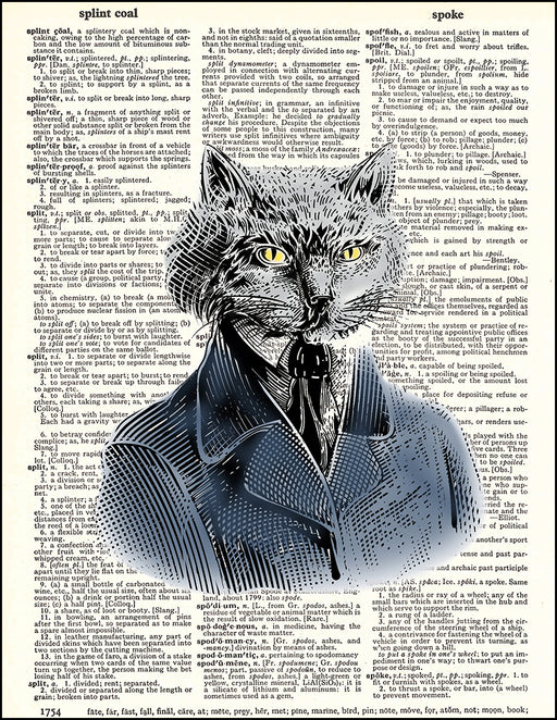 An image of a(n) Cat Portrait Dictionary Art Print.