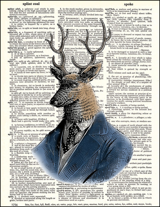An image of a(n) Deer Portrait Dictionary Art Print.
