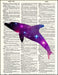 An image of a(n) Cosmic Dolphin Dictionary Art Print.