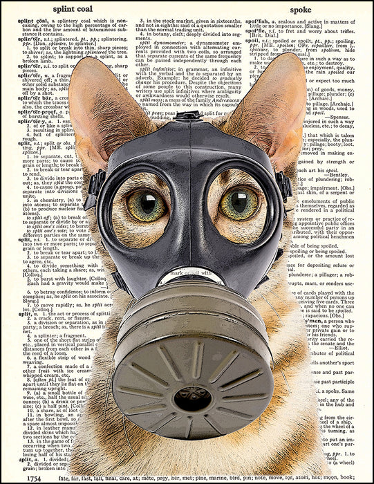 An image of a(n) Fallout Kitty Dictionary Art Print.