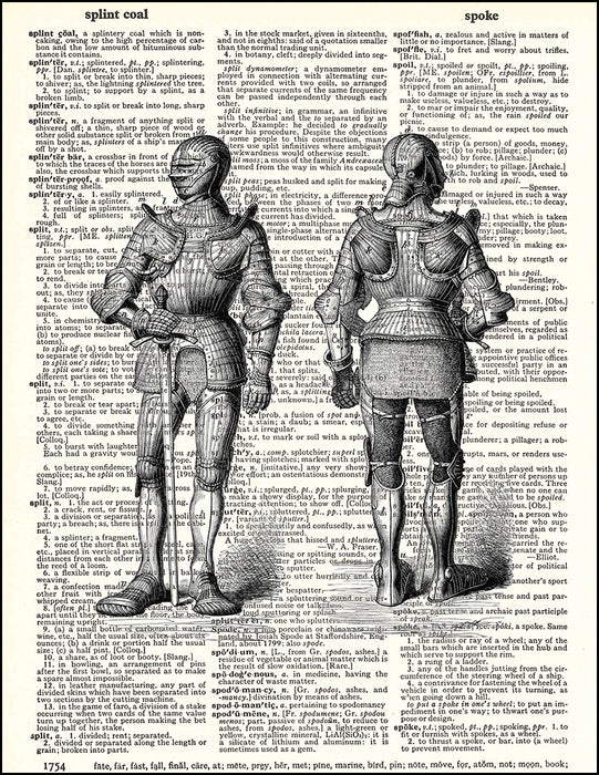 An image of a(n) Knights Armor Dictionary Art Print.