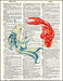 An image of a(n) Koi Fish Dictionary Art Print.