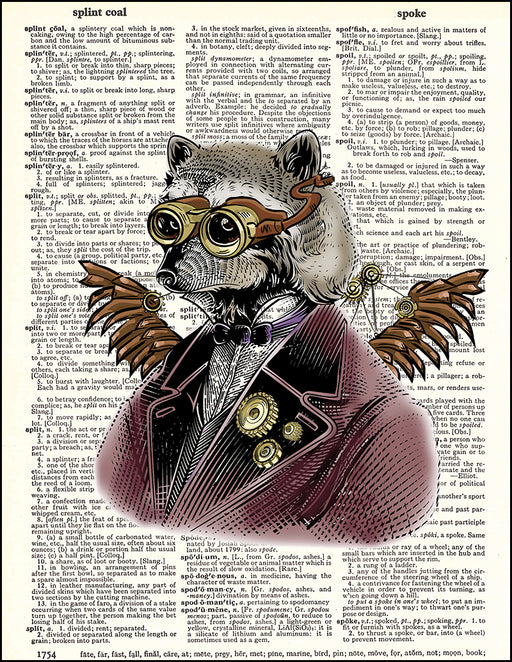 An image of a(n) Raccoon Steampunk Portrait Dictionary Art Print.