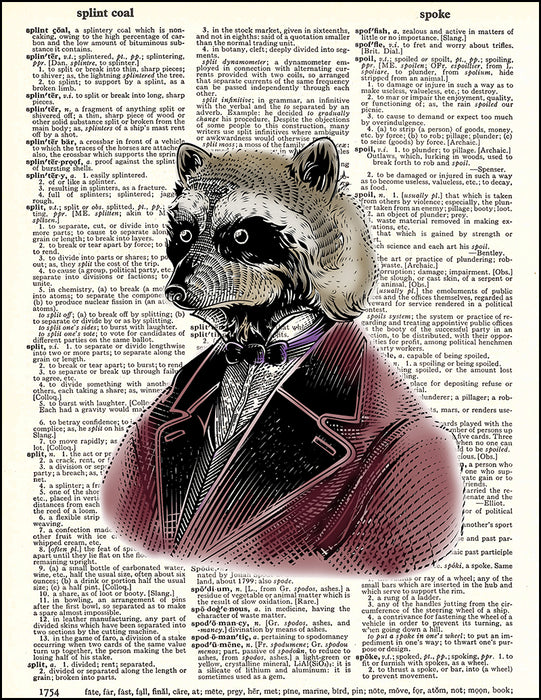 An image of a(n) Raccoon Portrait Dictionary Art Print.