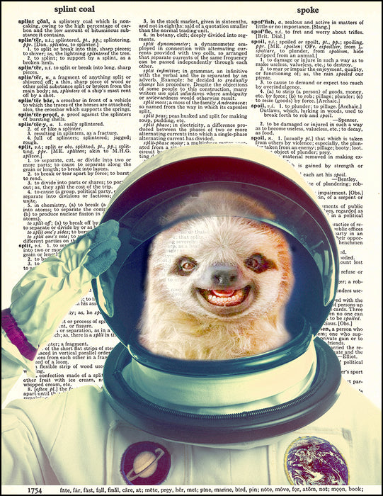 An image of a(n) Sloth Astronaut Dictionary Art Print.