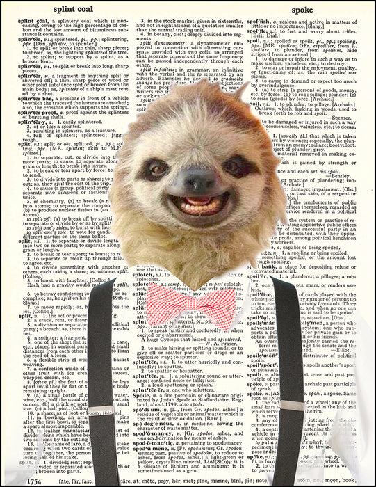 An image of a(n) Hipster Sloth Dictionary Art Print.