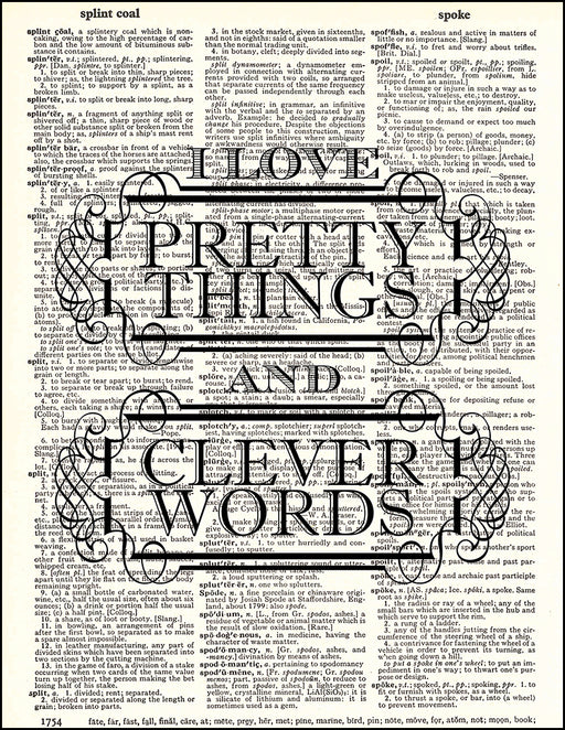 An image of a(n) I Love Pretty Things Quote Dictionary Art Print.