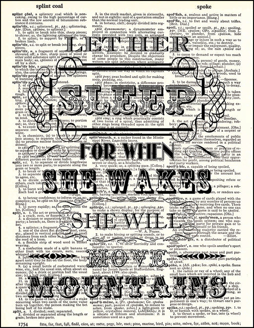 An image of a(n) Let Her Sleep Quote Dictionary Art Print.