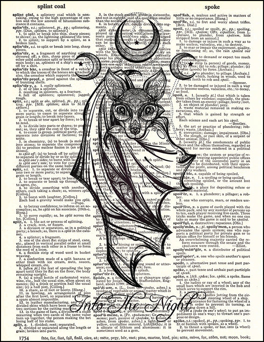 An image of a(n) Bat Into The Night Dictionary Art Print.