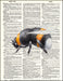 An image of a(n) Bumblebee Watercolor Dictionary Art Print.