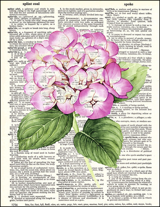 An image of a(n) Hydrangea Watercolor Dictionary Art Print.