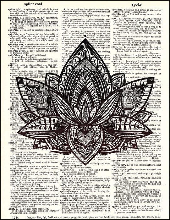 An image of a(n) Lotus Dictionary Art Print.