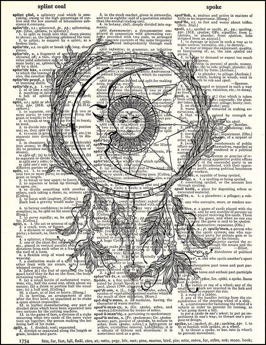 An image of a(n) Moon Dream Catcher Dictionary Art Print.