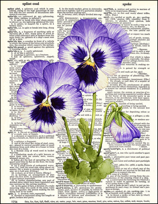 An image of a(n) Pansies Watercolor Dictionary Art Print.