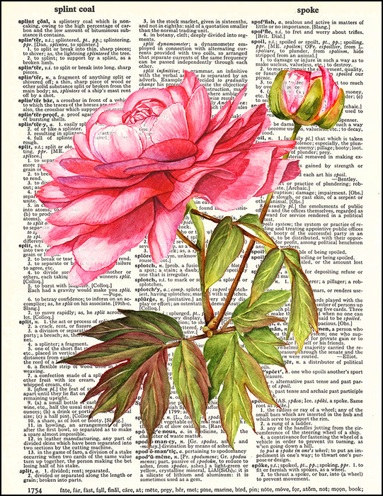 An image of a(n) Pink Peony Dictionary Art Print.