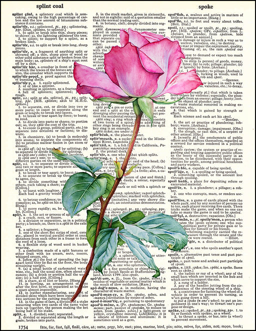 An image of a(n) Pink Rose Dictionary Art Print.