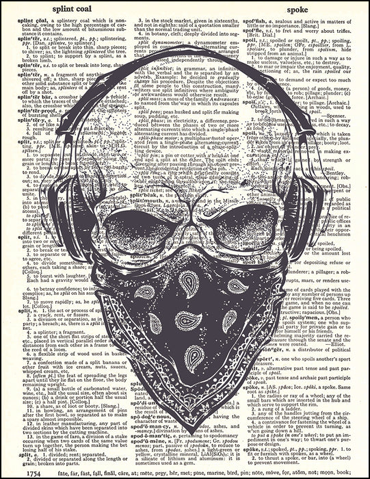 An image of a(n) Skull Bandana Dictionary Art Print.