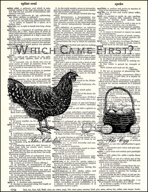 An image of a(n) Which Came First Dictionary Art Print.