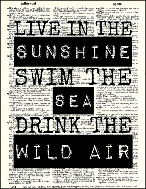 An image of a(n) Wild Air Quote Dictionary Art Print.