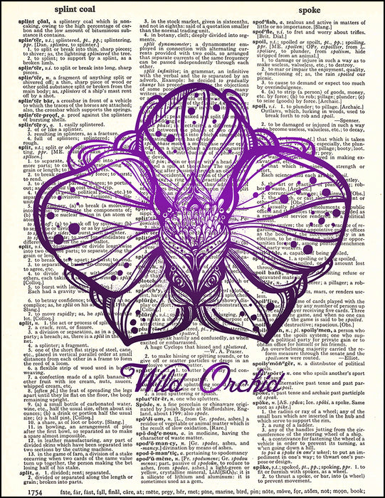 An image of a(n) Wild Orchid Dictionary Art Print.