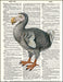 An image of a(n) Dodo Bird Dictionary Art Print.
