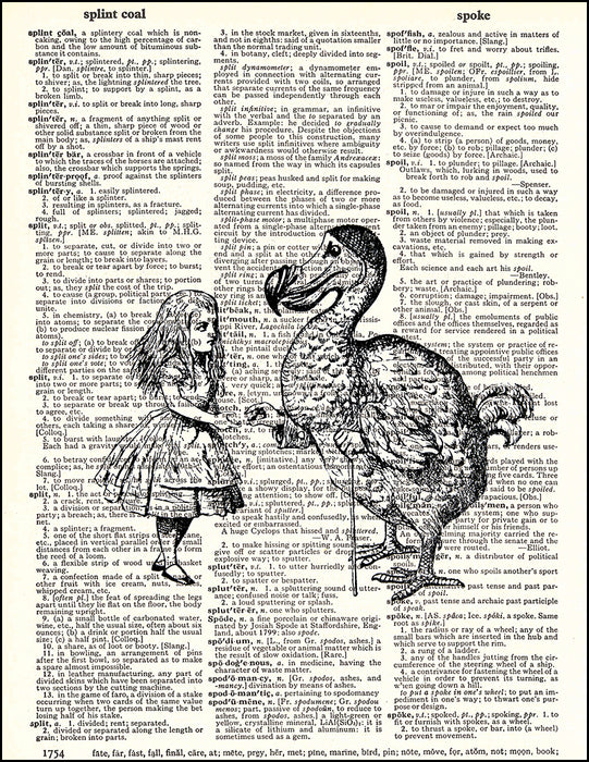 An image of a(n) Dodo and Alice Dictionary Art Print.