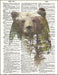An image of a(n) Double Exposure Bear Dictionary Art Print.