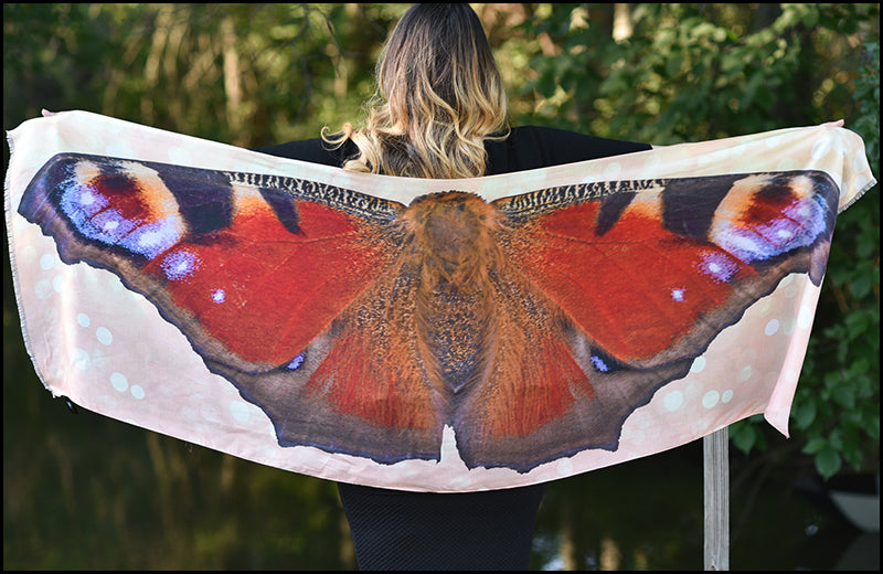 beautiful butterfly wings