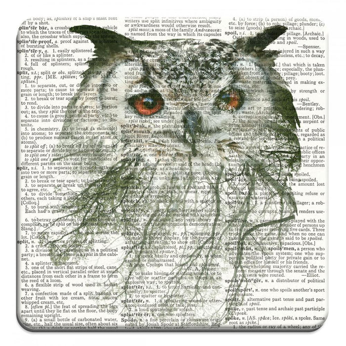 Double Exposure Owl - Novelty Coasters