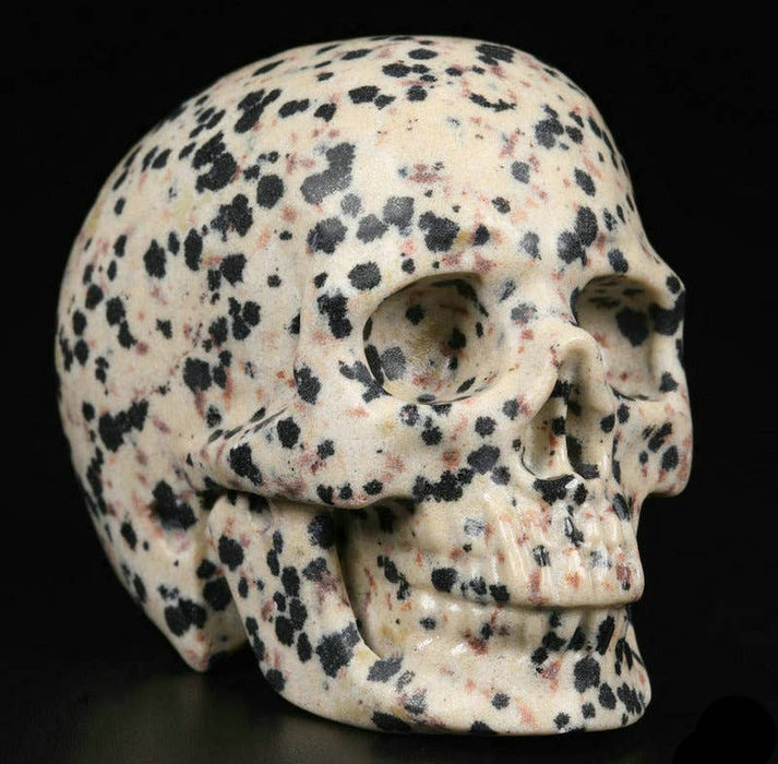 2" Dalmation Jasper - Crystal Skulls