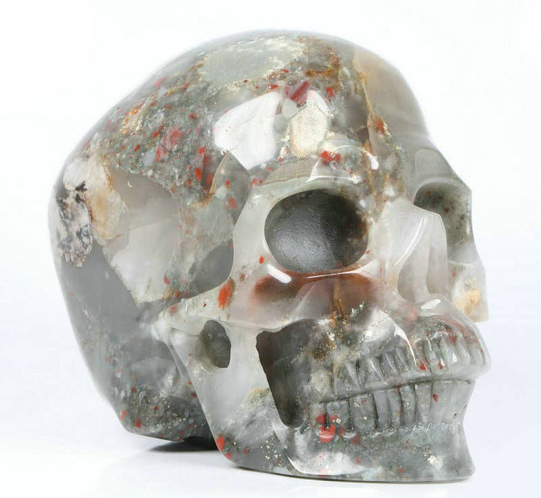 5" African Bloodstone - Crystal Skulls